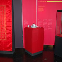 (2009-03) Grassimuseum - Faltenreich 024