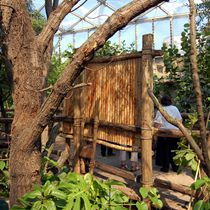 (2011-01) Zoo Leipzig Holzbau Gondwanaland 017