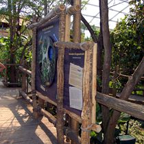 (2011-01) Zoo Leipzig Holzbau Gondwanaland 018