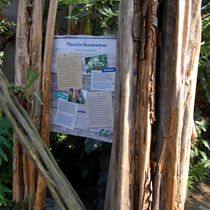 (2011-01) Zoo Leipzig Holzbau Gondwanaland 029