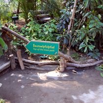 (2011-01) Zoo Leipzig Holzbau Gondwanaland 032