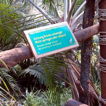 (2011-01) Zoo Leipzig Holzbau Gondwanaland 034