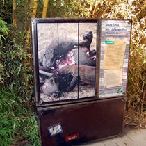 (2011-01) Zoo Leipzig Holzbau Gondwanaland 069