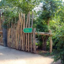 (2011-01) Zoo Leipzig Holzbau Gondwanaland 075